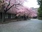 千葉キャンパス写真（春〜初夏）