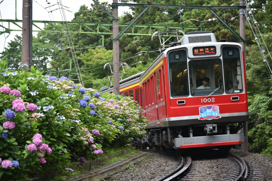 （2015/06/27〜）『あじさい電車』