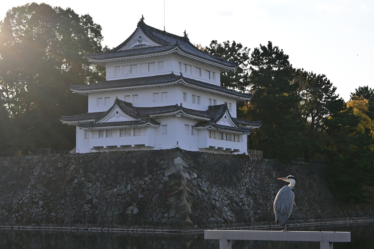 （2020/11/29〜）「名古屋城清洲櫓と青鷺」