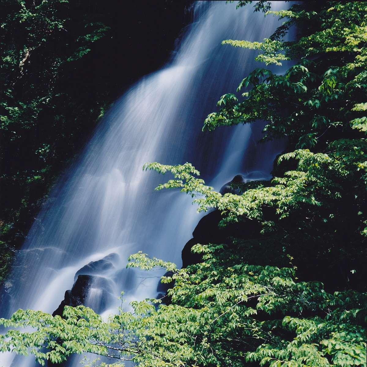 （2024/07/20〜）「飛騨の滝（３）ニコイ大滝」