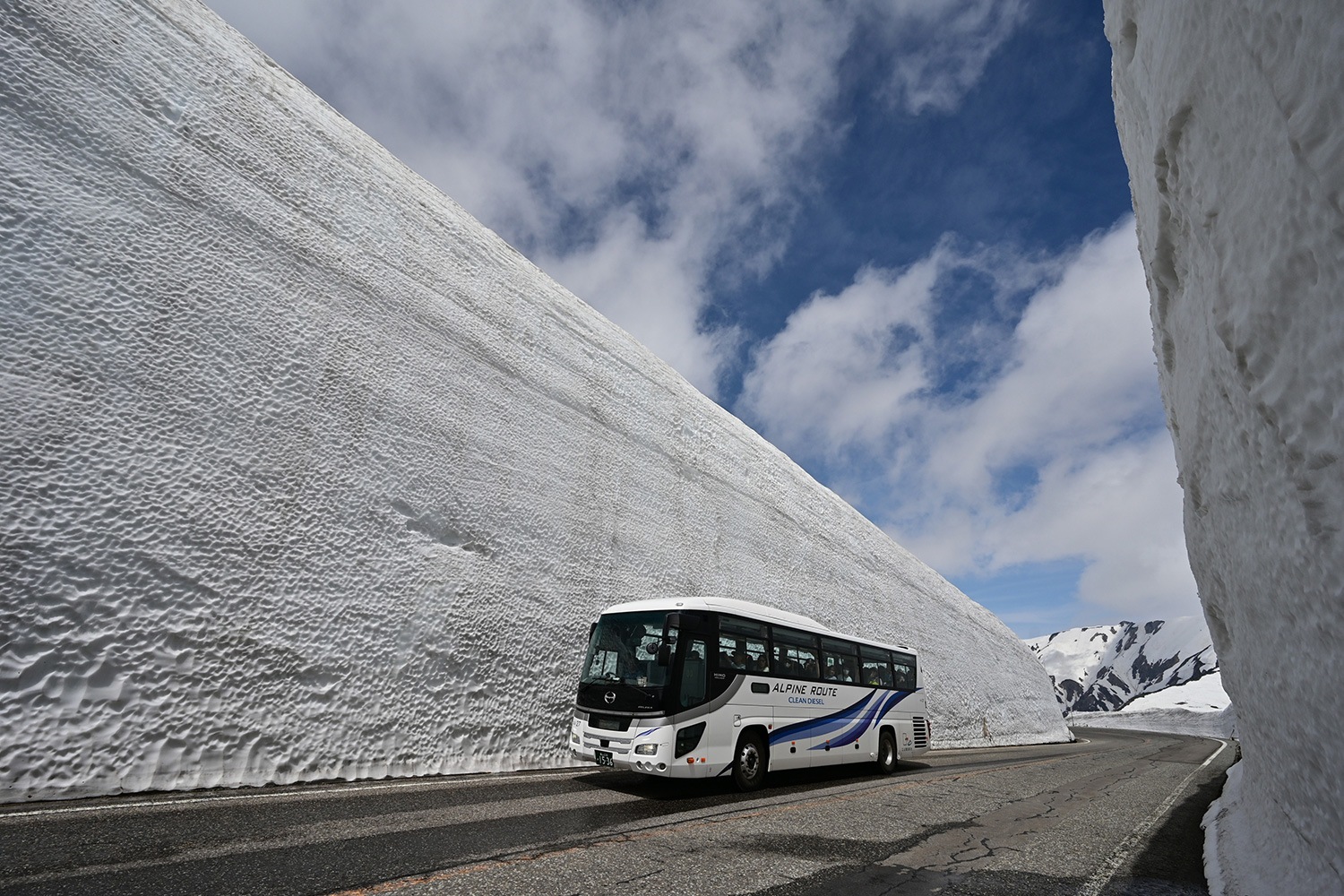 （2025/06/09〜）「雪の大谷」