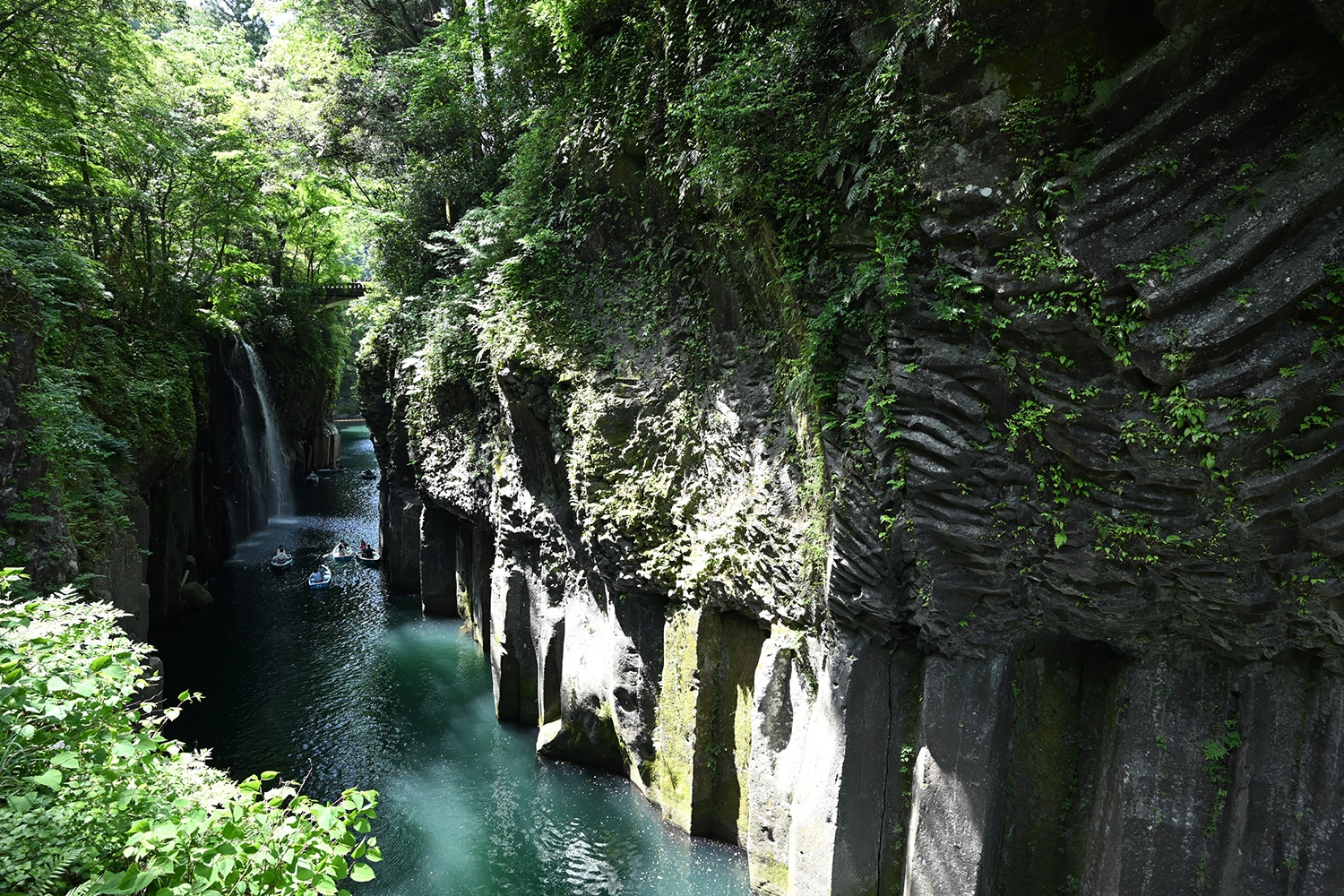 （2025/07/08〜）「新緑の高千穂峡」