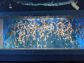 （2025/05/17〜）「新江ノ島水族館　美しいクラゲの群泳」
