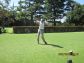 52_golf_01_081