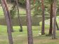 53_golf_01_037