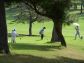 53_golf_02_258