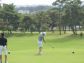 53_golf_02_272