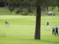 53_golf_02_646