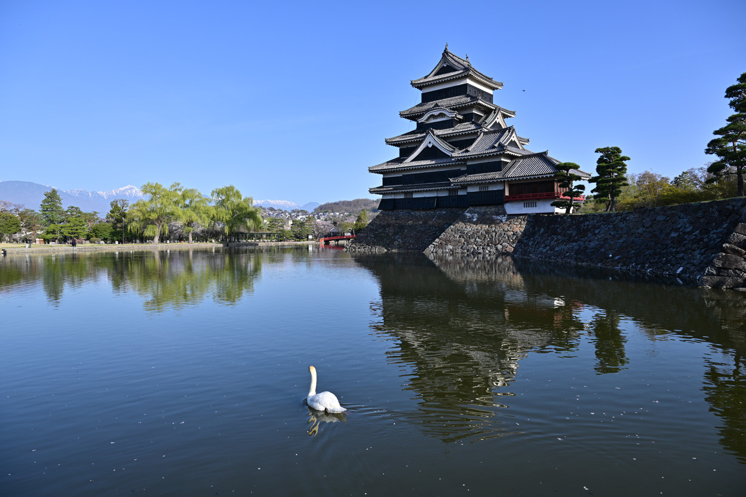 （2026/04/21〜）「春の松本城」
