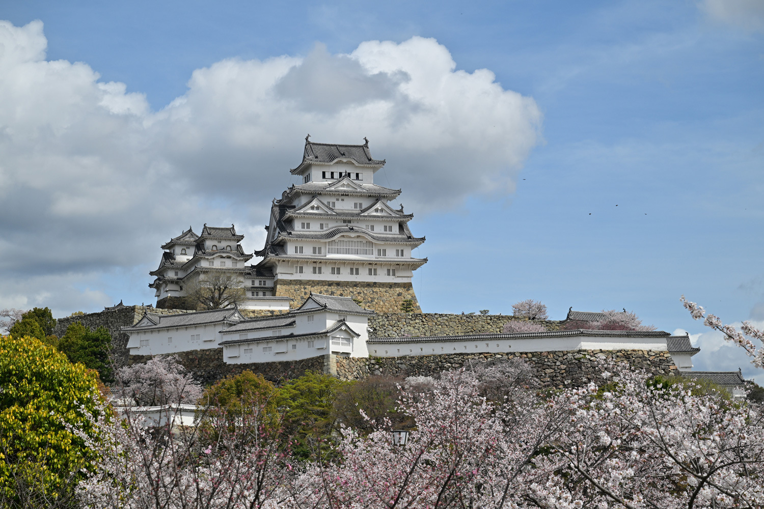 （2026/04/21〜）「姫路城と桜」