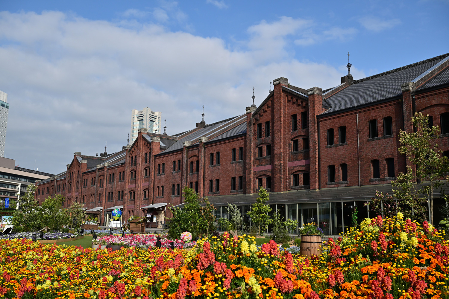 （2026/04/21〜）「横浜赤レンガ倉庫フラワーガーデン」