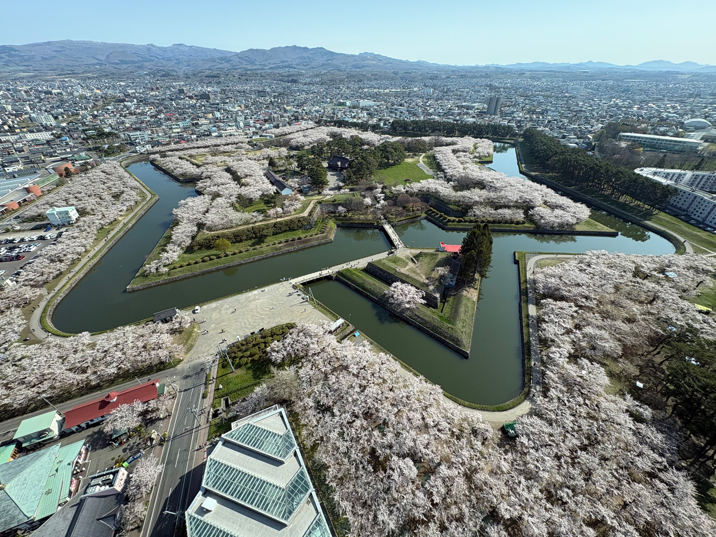 （2026/04/27〜）「五稜郭桜満開」