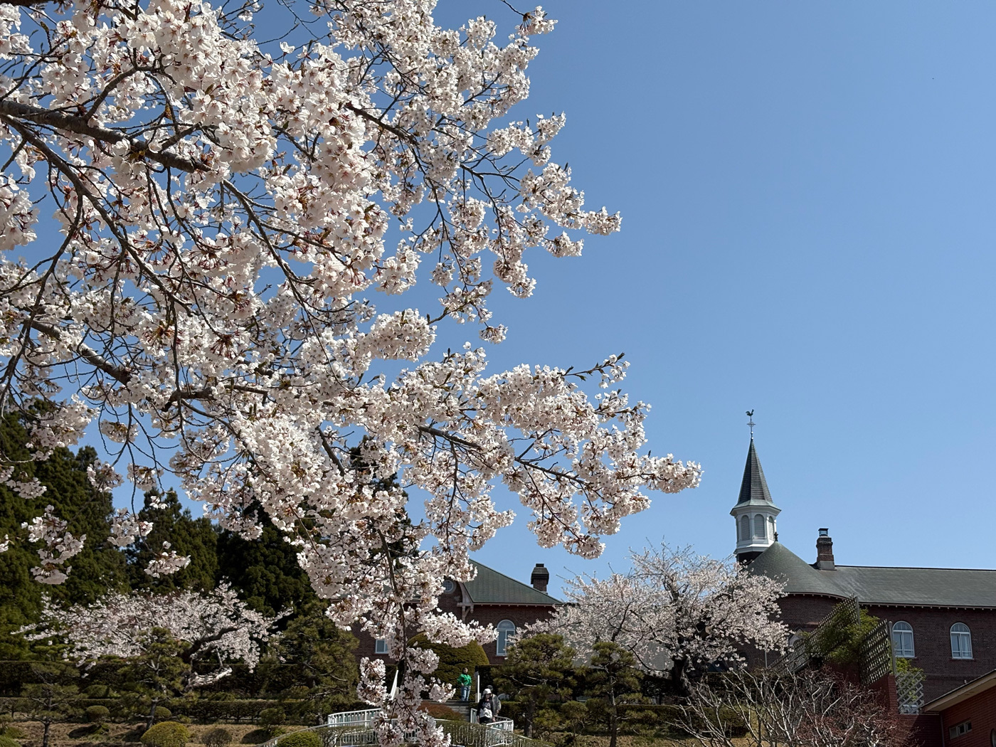 （2026/04/27〜）「トラピスチヌ修道院」