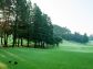 54_golf_02