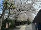 okayama_kurashiki_12