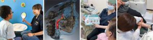 2023 TDCアカデミア 臨床セミナー／口腔機能セミナー「健全な口腔機能を獲得し維持するために」〜口腔機能低下症の予防は、口腔機能発達不全症の解消にあり〜［2023年6月4日（日）］講師：上田貴之（東京歯科大学老年歯科補綴学講座）・井上敬介（愛知県開業）・久保慶太郎（東京都勤務）